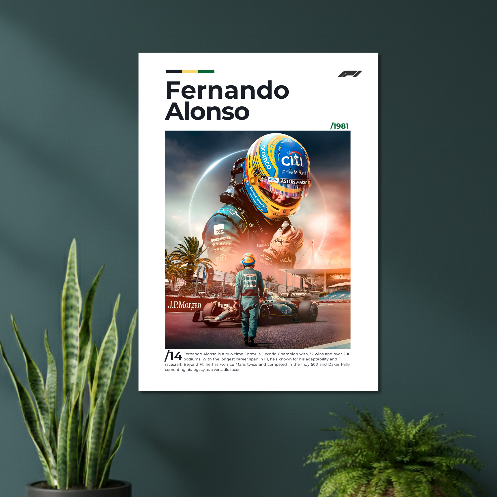 F1 | FERNANDO ALONSO | F1 Poster
